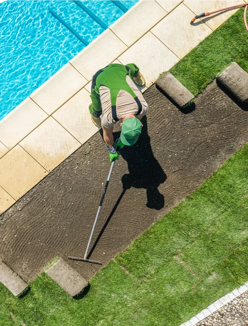 Florida Sunshine Lawn Care showcase